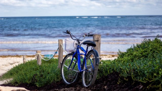 自転車